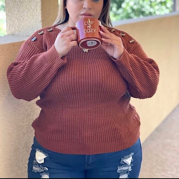 WOMENS PLUS SIZE CURVY BROWN KNITTED SWEATER - Picture 1 of 4